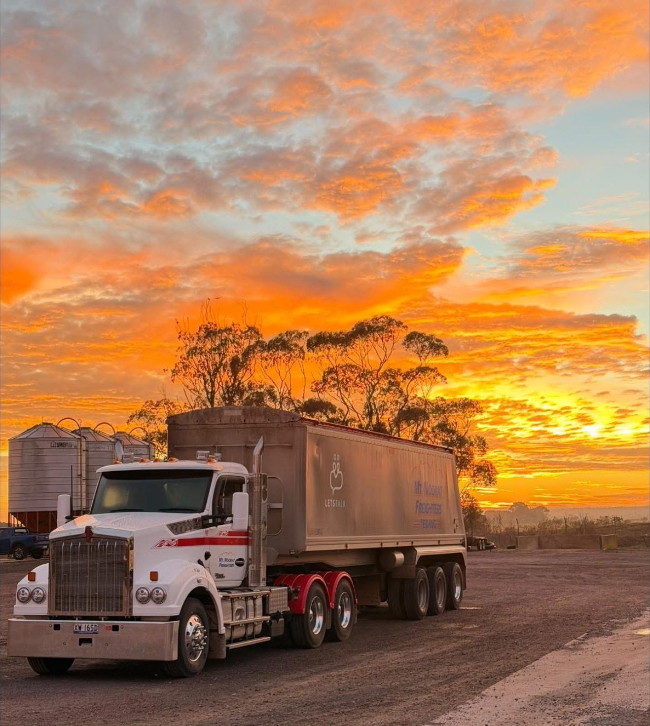 Mt Noorat Freighters prime mover and one bulk trailer at sunrise, with farm silos and gum trees.